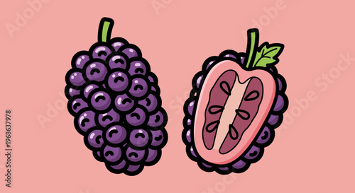 A colorful illustration of a whole and cut blackberry on a pink background, conveying freshness and health.