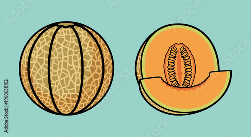 A digital illustration of a whole and halved cantaloupe on a teal background, showcasing its vibrant orange color and textured skin.