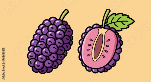 A colorful cartoon illustration of mulberries, one whole and one halved, conveying freshness and health.