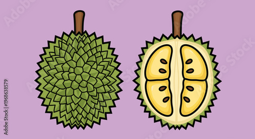 A colorful cartoon illustration of a durian fruit, showcasing its spiky exterior and creamy interior on a purple background.