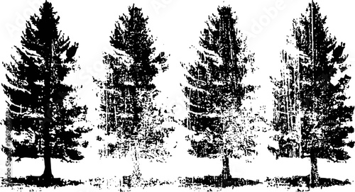 silhouettes of four tall pine trees in black and white vintage