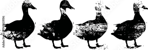 silhouettes of four standing ducks in a row with textured black and white effect