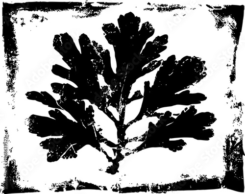Black ink silhouette of oak leaf with textured border design