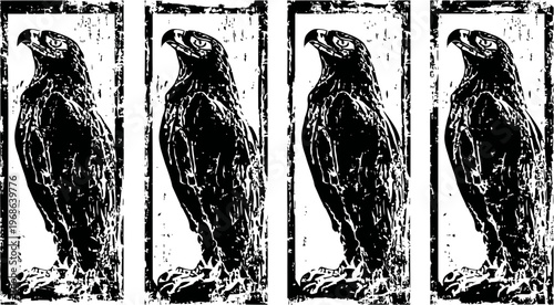 vintage black and white hawk illustrations in vertical frames, antique bird art collection