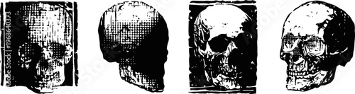 vintage human skull illustrations detailed anatomical views of skull front and side perspectives