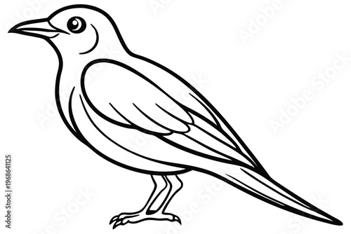 merlin bird silhouette line art vector illustration with a white background