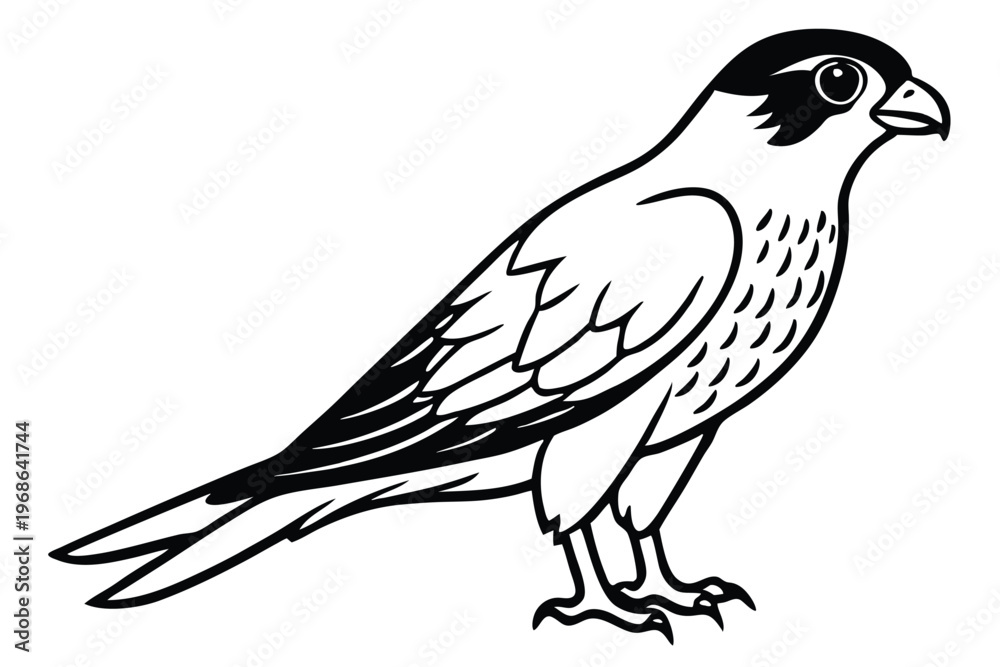 Fototapeta premium merlin bird silhouette line art vector illustration with a white background