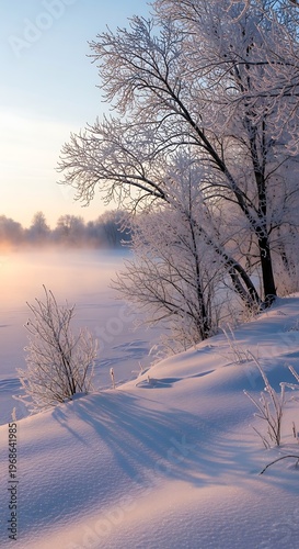 Winter landscape with snow covered trees and fog.
