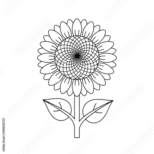 Simple Sunflower Line Art Illustration Outline Black and White