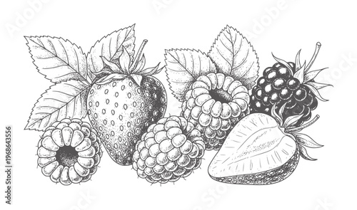 Of assorted berries including strawberries raspberries and blackberries with leaves
