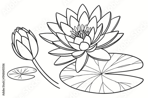 coloring page line art the water lily flower black vector