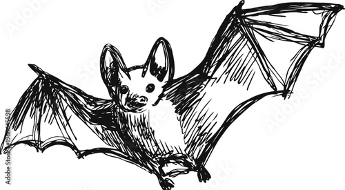 hand drawn bat illustration with outstretched wings in vintage sketch