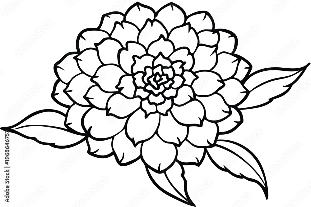 Obraz premium marigold flower silhouette line art vector illustration with a white background