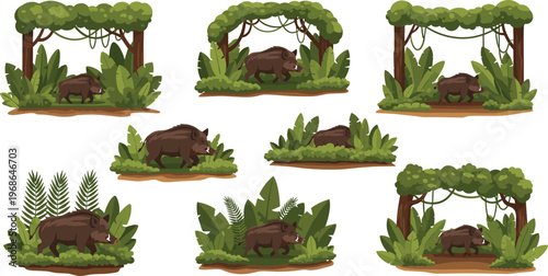 Wild boar jungle habitat illustration set with tropical plants, forest scenes and wildlife animals, nature vector collection design