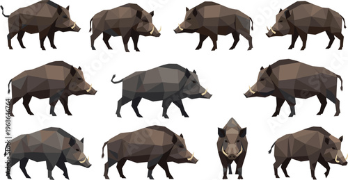 Geometric wild boar polygon collection with low poly design, abstract wildlife animals in modern style vector illustration set