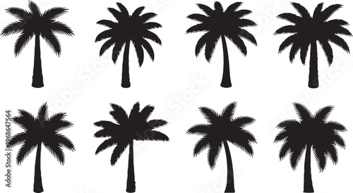 Canvastavla A collection of black feather boas displayed in a symmetrical arrangement Vector