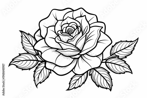 coloring page line art the wild rose flower black vector