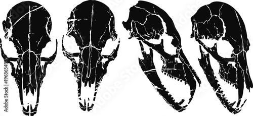 four black animal skull silhouettes with detailed cracks and textures on a white background