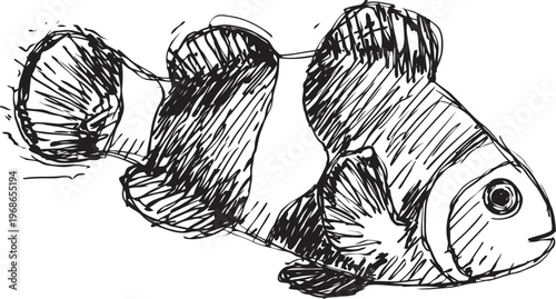 Clownfish sketch in black ink hand drawn marine fish illustration with distinctive striped pattern and fin details