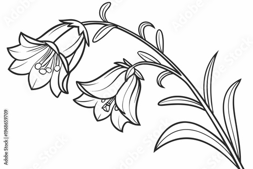coloring page line art the yellow bell flower black vector