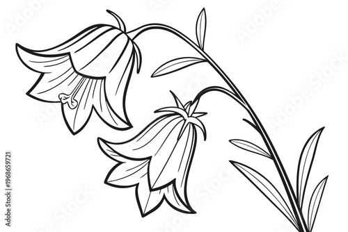 coloring page line art the yellow bell flower black vector