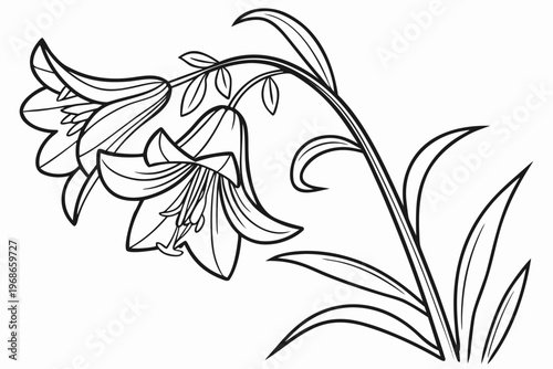 coloring page line art the yellow bell flower black vector