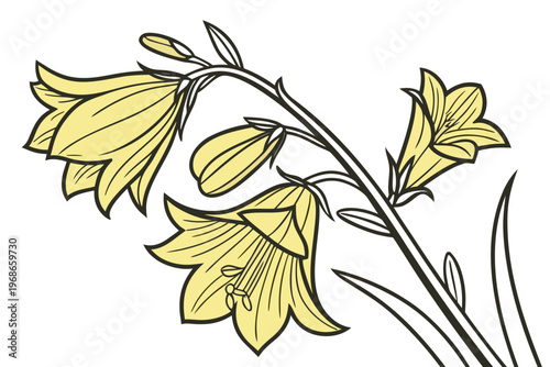 coloring page line art the yellow bell flower black vector