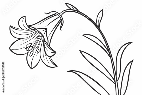 coloring page line art the yellow bell flower black vector