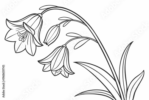 coloring page line art the yellow bell flower black vector