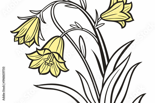 coloring page line art the yellow bell flower black vector