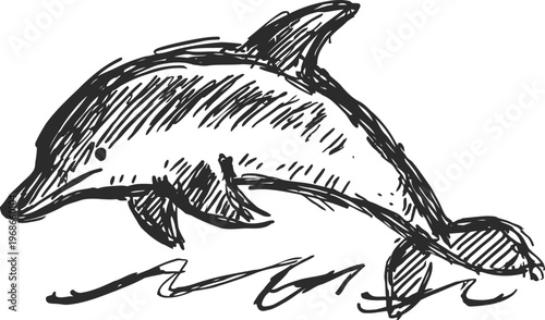 hand drawn dolphin sketch with dynamic lines and textured shading, representing marine wildlife and ocean life