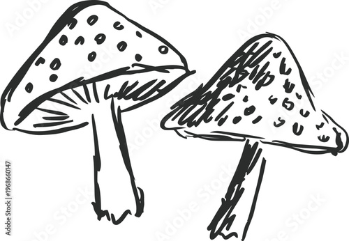 Hand drawn wild mushrooms with textured caps and slender stems, nature sketch illustration