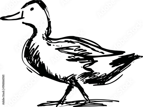 hand drawn black ink duck silhouette walking on the ground wild waterfowl sketch in vintage