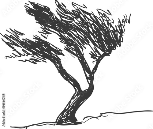 Windblown tree bending strongly with dynamic flowing branches in rough weather
