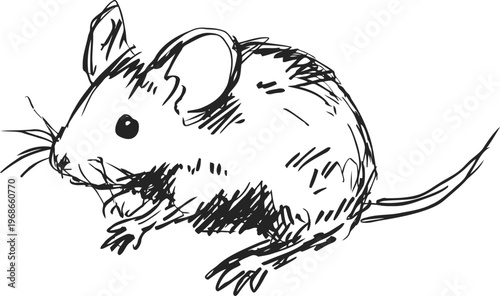 Hand drawn mouse illustration sketch of small rodent with detailed fur and whiskers simple black and white drawing