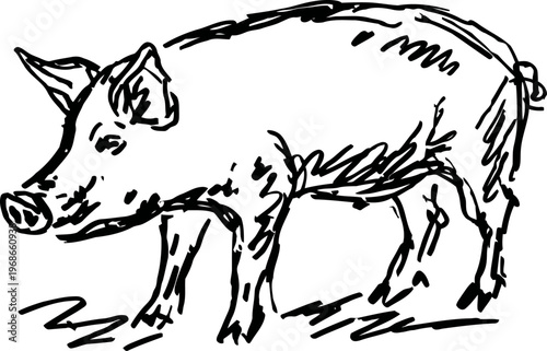 Black ink sketch of a pig standing on the ground, simple farm animal illustration
