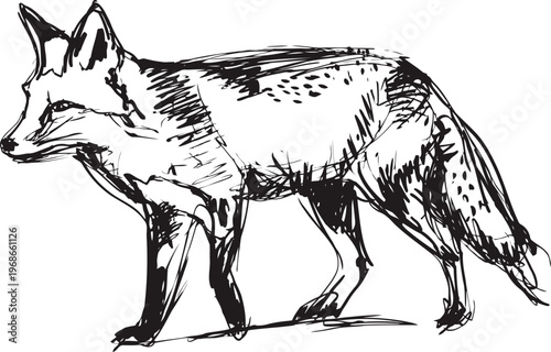 hand drawn black and white fox sketch with detailed fur texture and natural stance