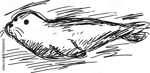 Sketch of a swimming seal in motion hand drawn marine animal with whiskers and streamlined body