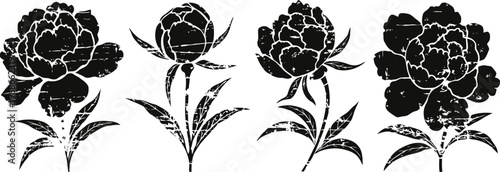 black and white floral silhouette set decorative peony flowers with leaves and stems elegant blooming blossom vector design