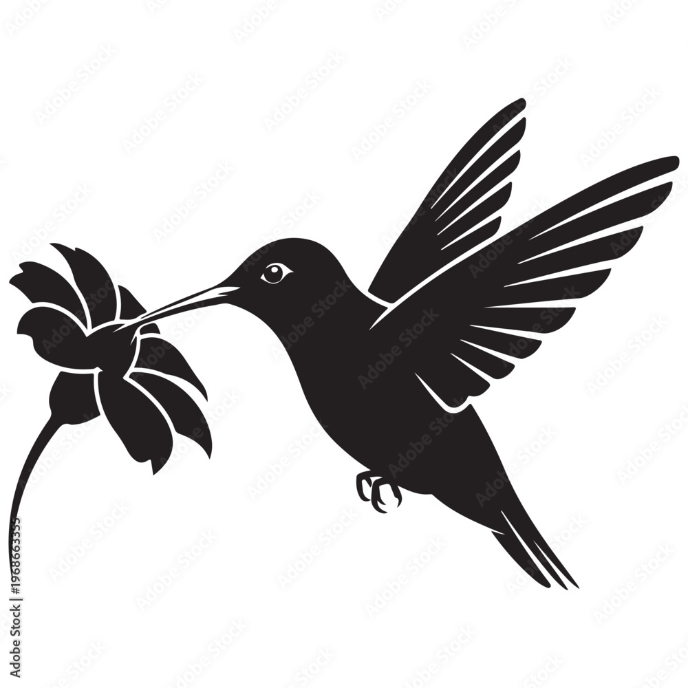 Obraz premium Black Silhouette of a Hummingbird Feeding from a Flower