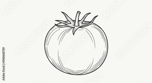 Detailed hand-drawn black and white sketch of a ripe tomato with its stem and leaves on a light background.