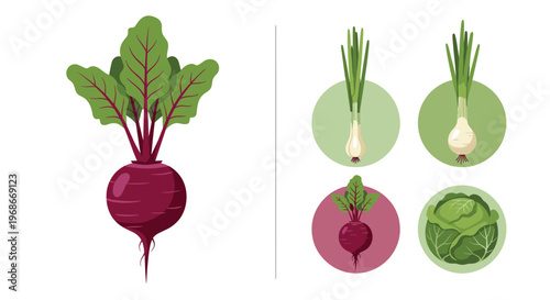 Large purple beetroot with green leaves shown alongside smaller circular icons of spring onions and cabbage.