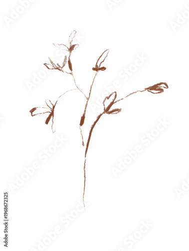 Wildflower branch clipart, charcoal botanical illustration, minimal boho PNG
