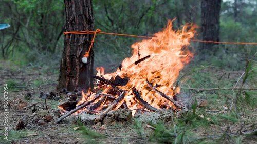 the strong flame of a campfire lit in the forest