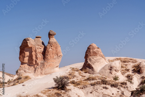Camel-shaped fairy chimneys in the Devrent Valley in Cappadocia, one of the most popular tourist areas in Turkey on an August day.
