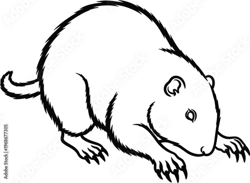 Vector Design of a Mole, Detailed Black and White Illustration for Wildlife and Nature Projects