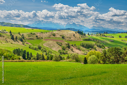 landscape with green field and blue sky