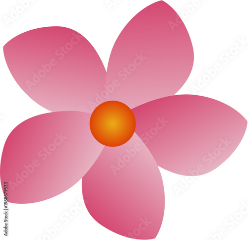 A beautiful pink flower with a white background