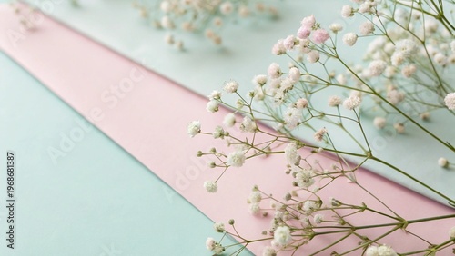 Colored background and white flowers.