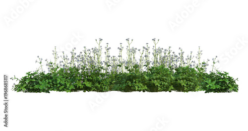 Fotografija Large flowerbed with many different plants and flowers isolated on transparent b